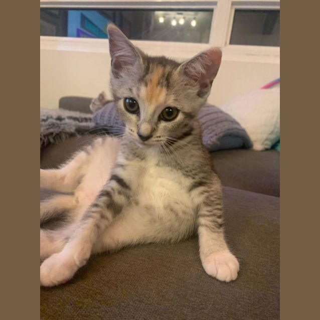 Photo of Samantha 