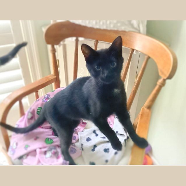 Photo of Bonnie