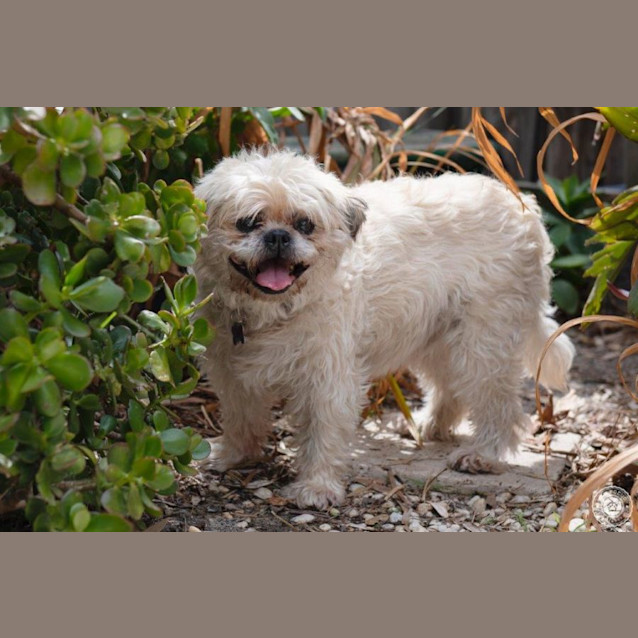 Photo of Bob Featherwoodie