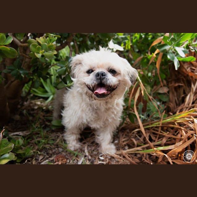 Photo of Bob Featherwoodie