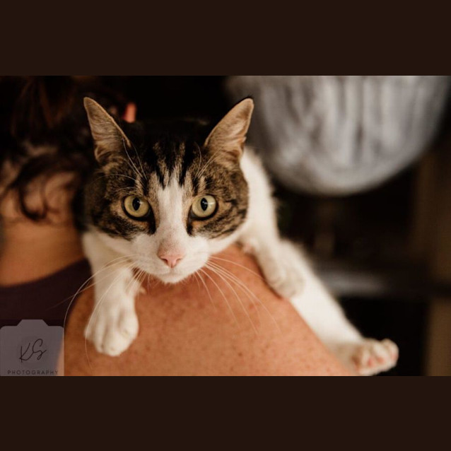 Photo of Felix Rossiter