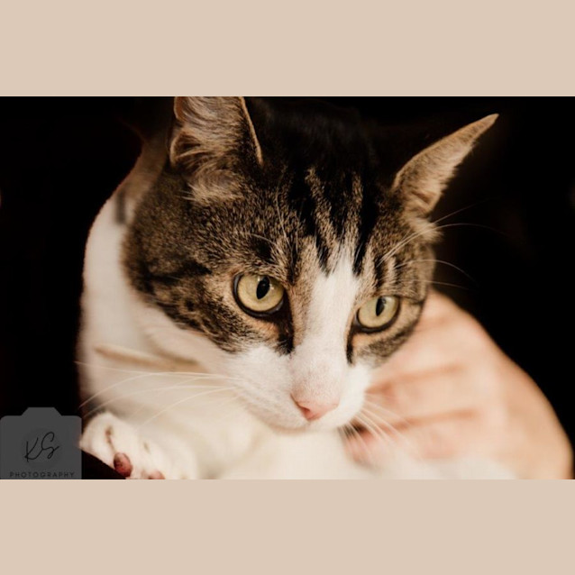 Photo of Felix Rossiter