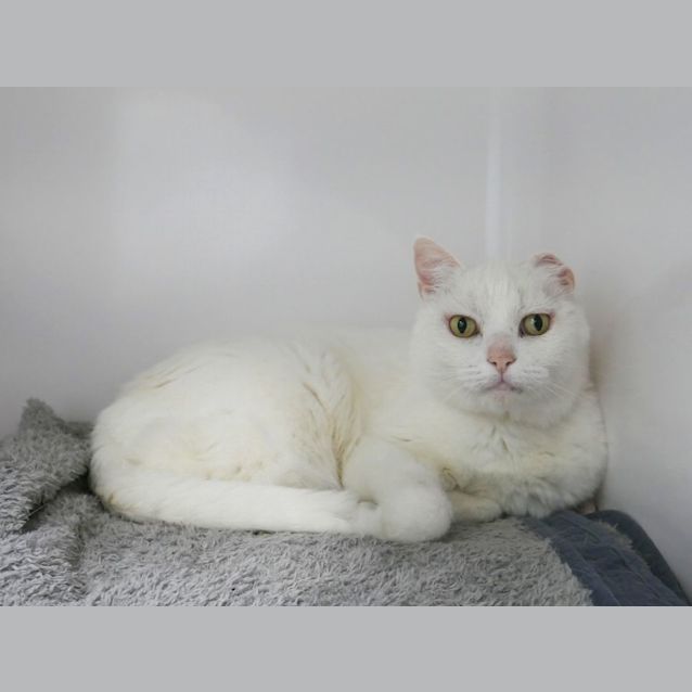 Photo of Coco Sua009455