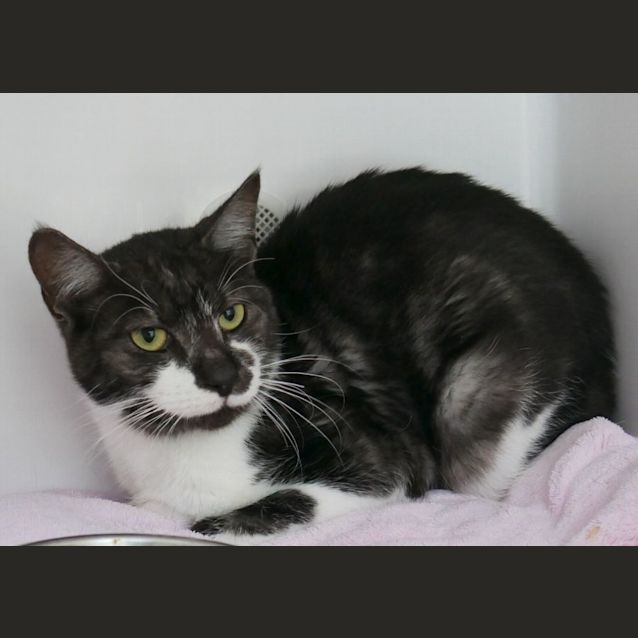 Photo of Eddie Sua009701