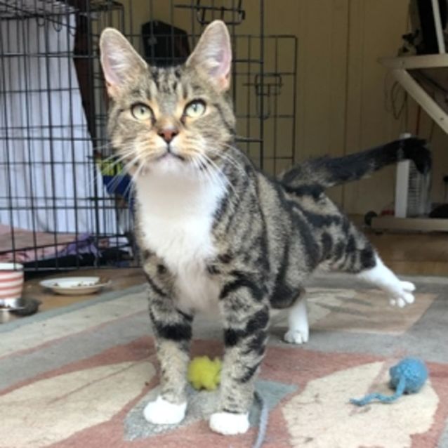 Photo of Polly Sta009310