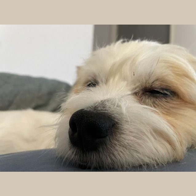 Photo of Charlie
