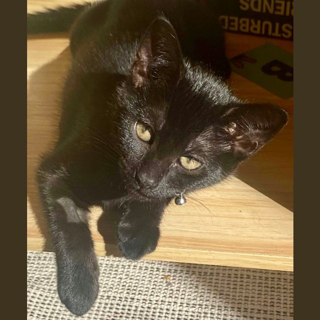 Photo of Salem