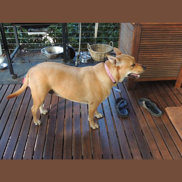 Photo of Maudie