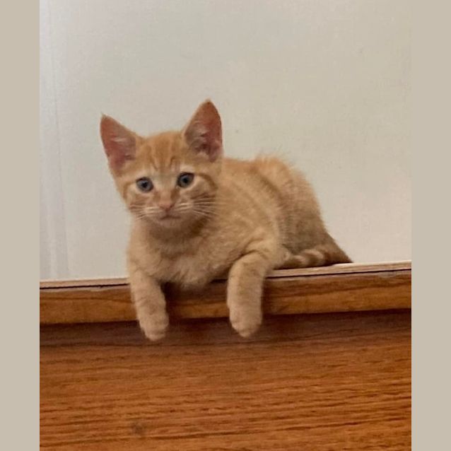 Photo of Natasha