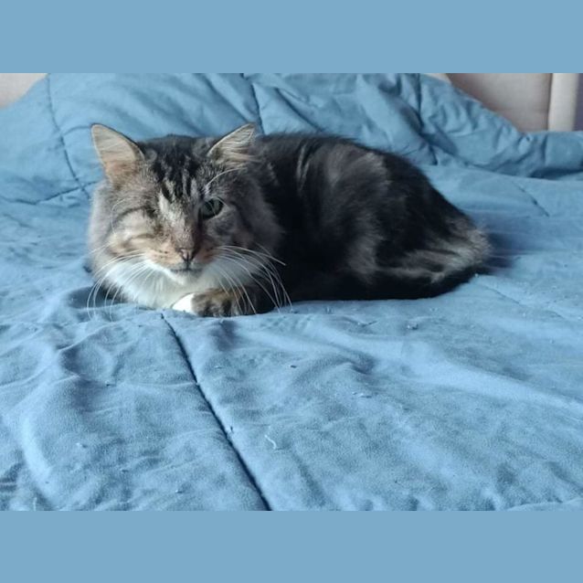 Photo of Chance 💙