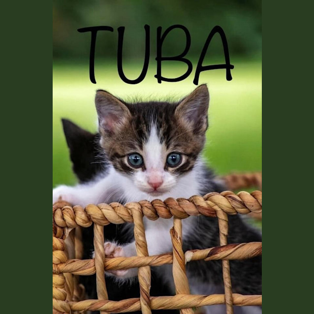 Photo of Tuba