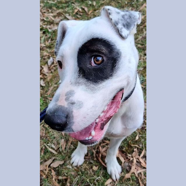 Photo of Minnie The Moocher