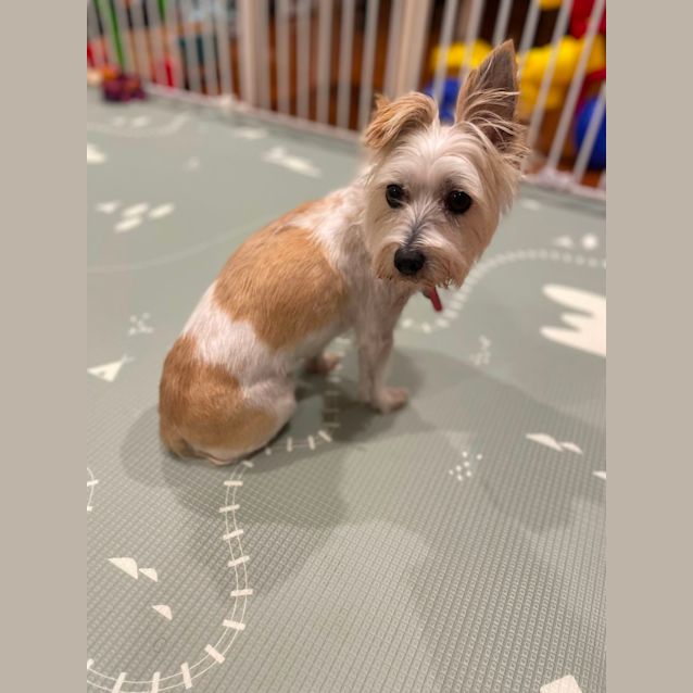 Photo of Roxy