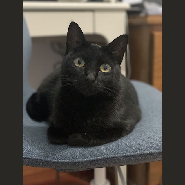 Photo of Beatrice
