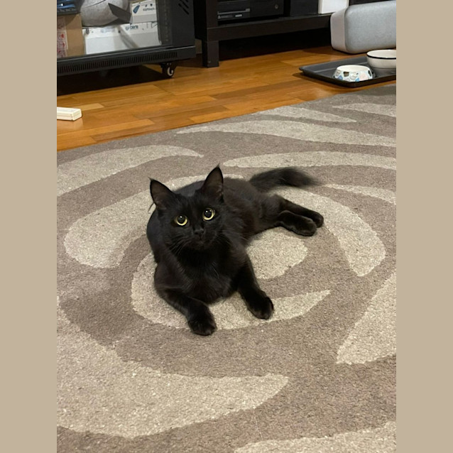 Photo of Nixie