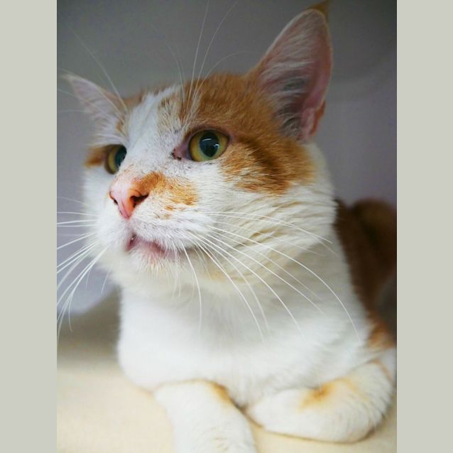 Photo of Leo Sta009598