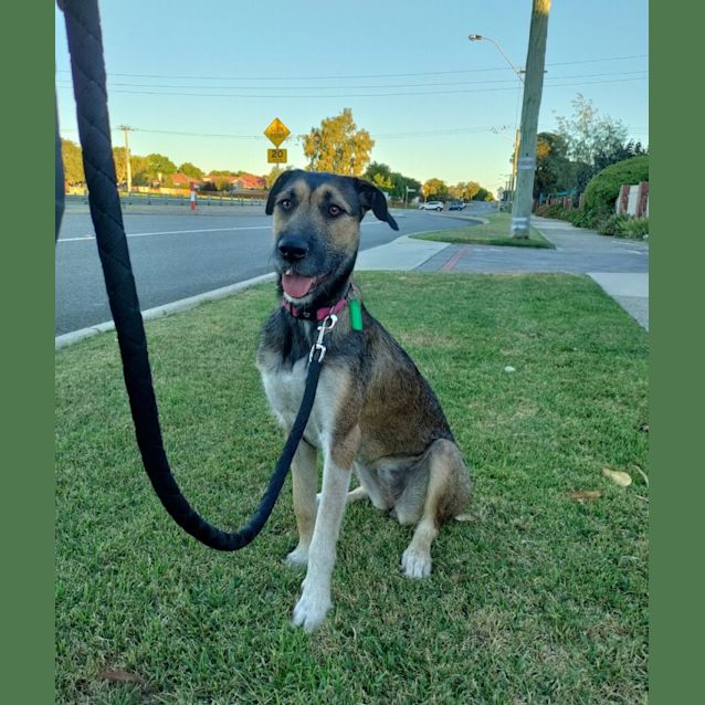 Photo of Sadie Dl2782