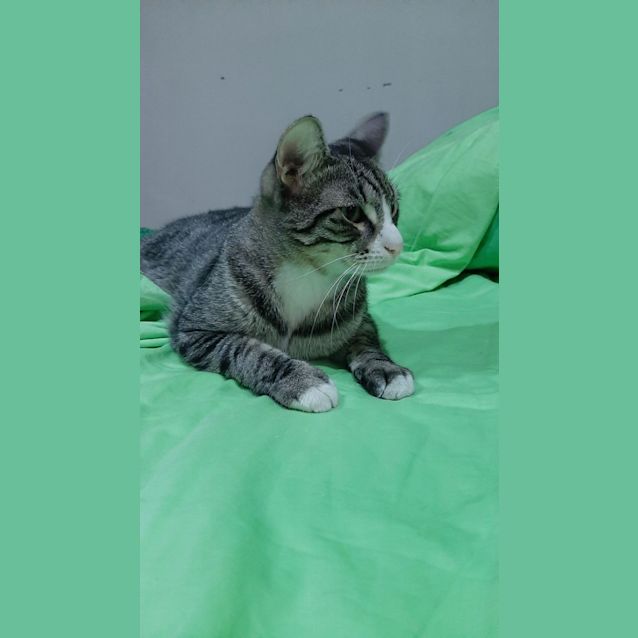 Photo of Byron