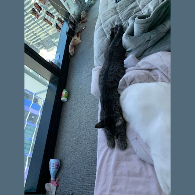 Photo of Annie