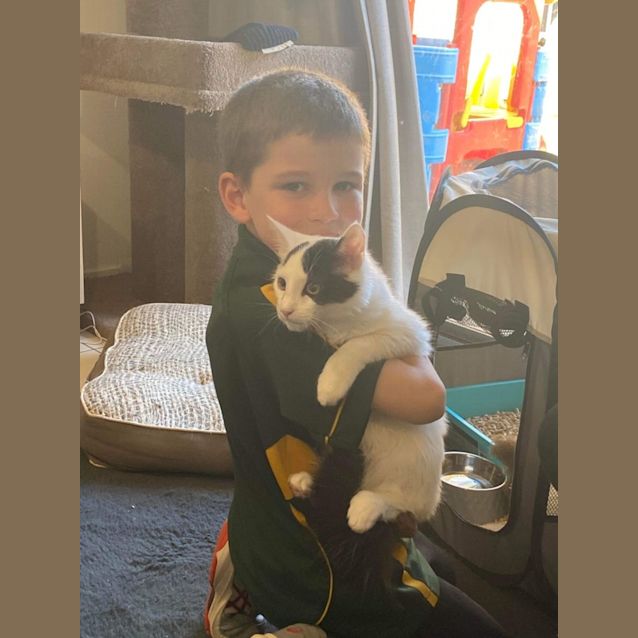 Photo of Pablo And Posy