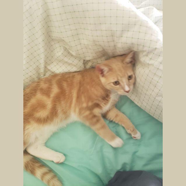 Photo of Ashlee And Rory