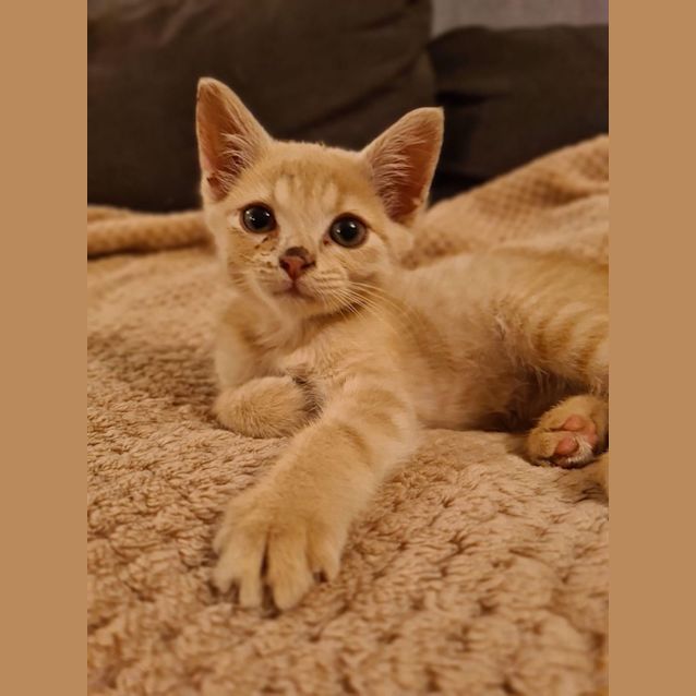 Photo of Little Bug 