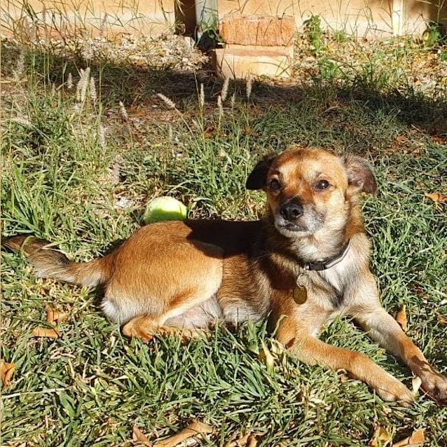 Photo of Chedda