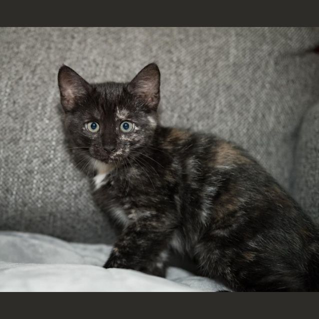 Photo of Katie