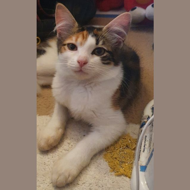 Photo of Amy 