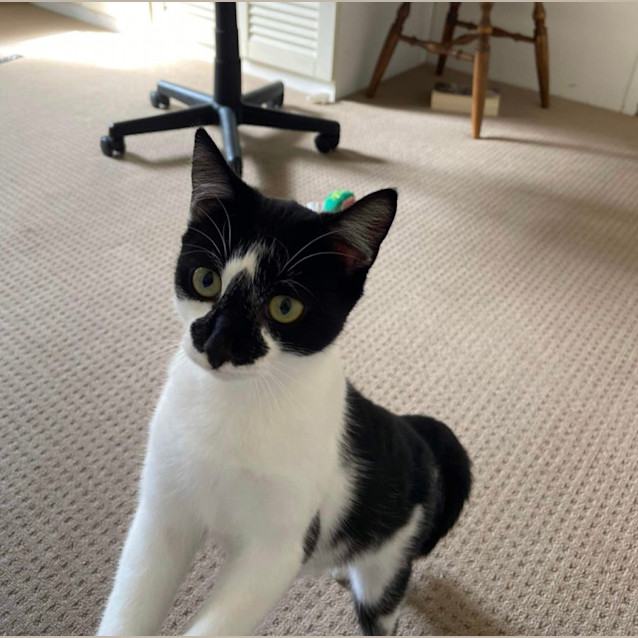 Photo of Pepe 💕