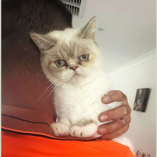 Photo of 🥧Soufflé🥧