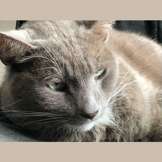 Photo of Coco And Raisin