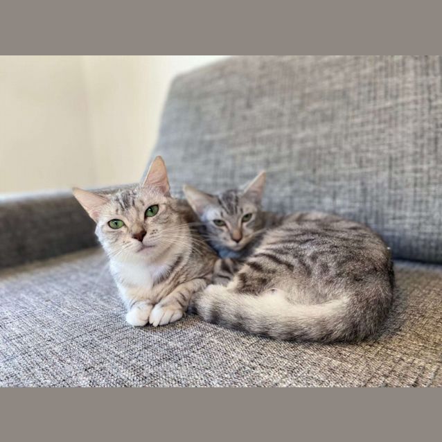 Photo of Gretchen & Gigi