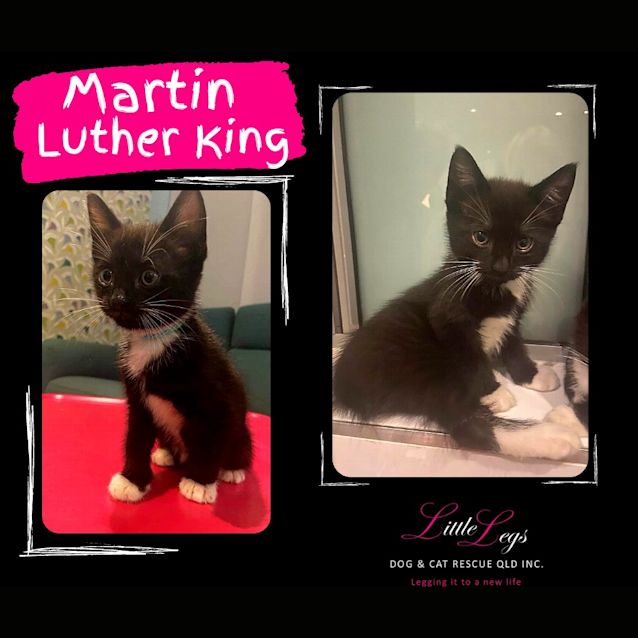 Photo of Martin Luther King