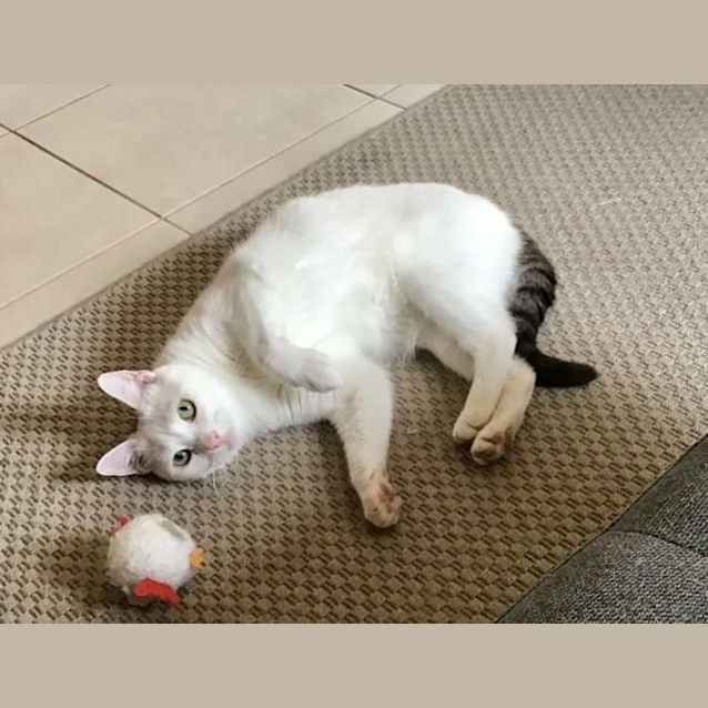 Photo of Trevor & Prissy 💙💜