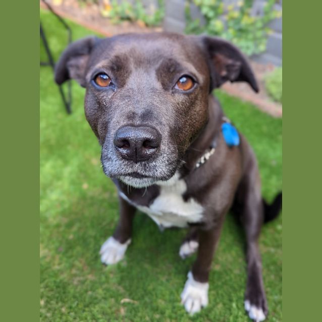 Photo of Pepsi