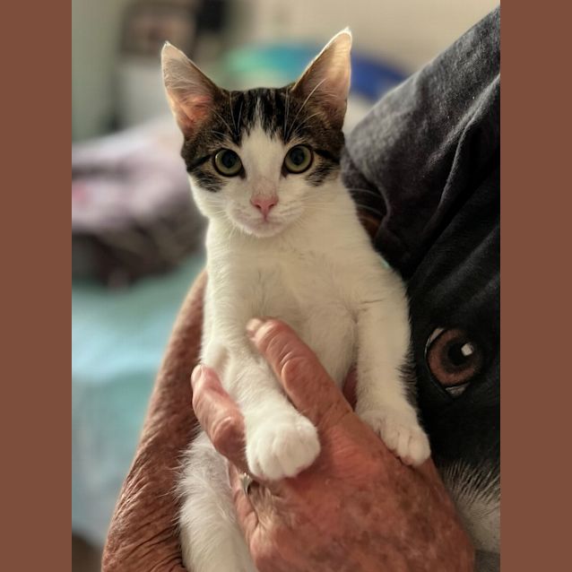 Photo of Simon