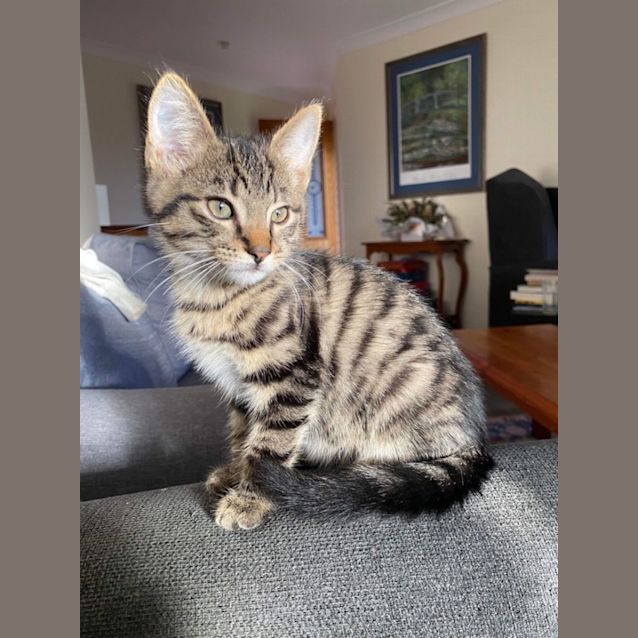 Photo of Ernie