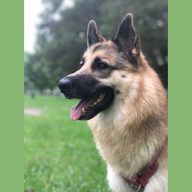 Photo of Malu   Meet And Greet Organised