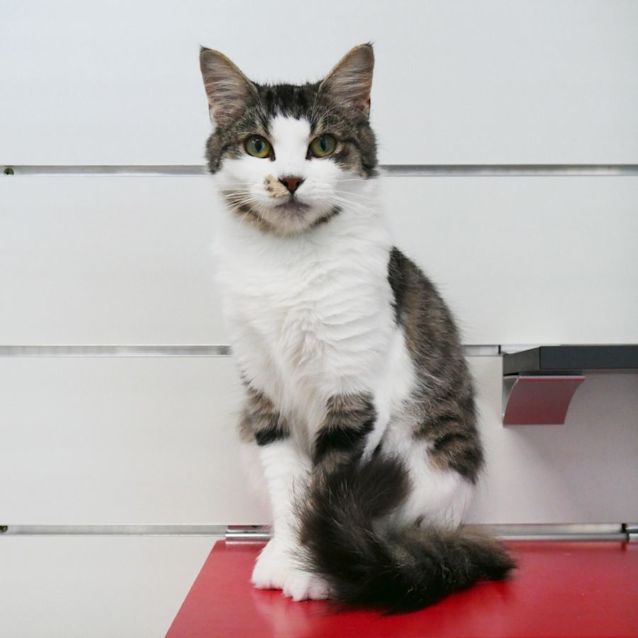 Photo of Bindi Sua009477