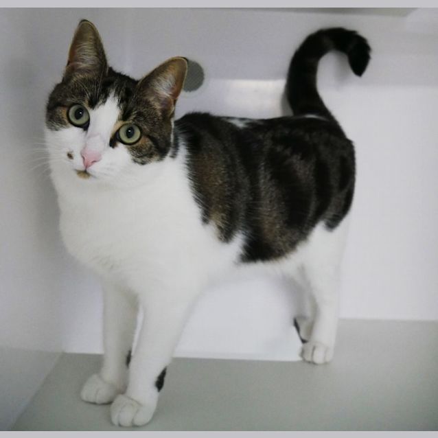 Photo of Tammy Rsua009328