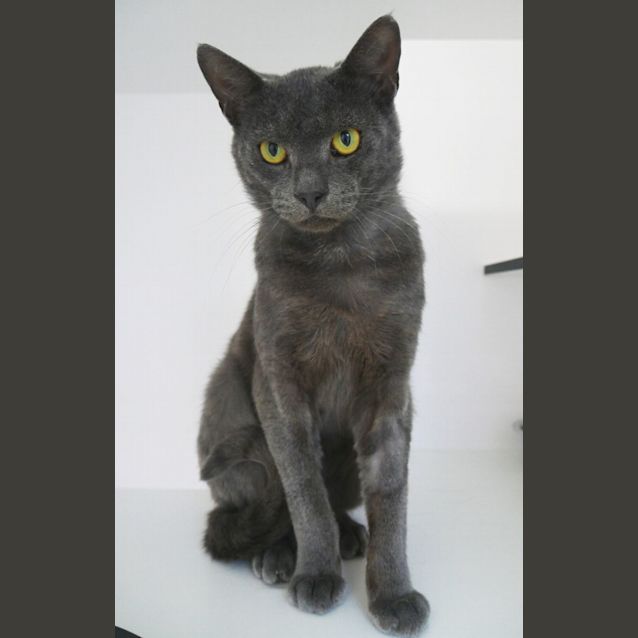 Photo of Fergus Rsua009617