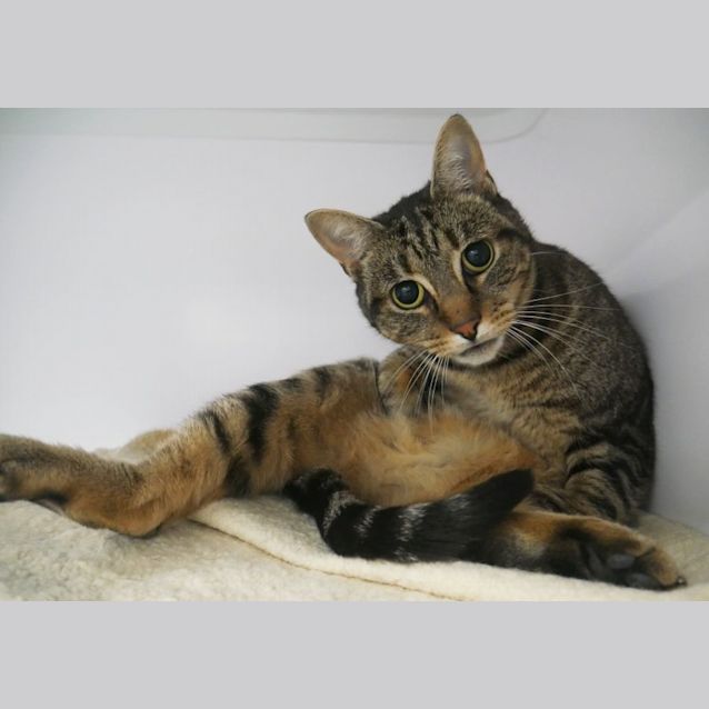 Photo of Gigi Sua009722