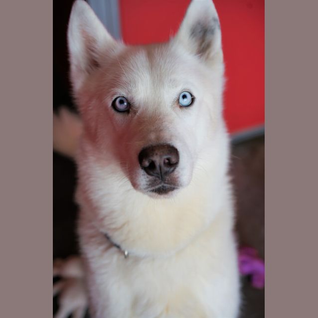Photo of Hunter