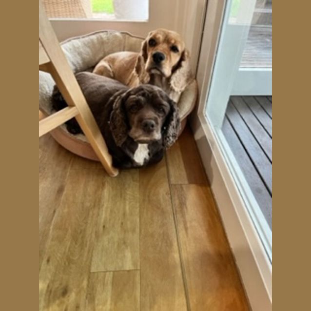 Photo of Coco And Sandy