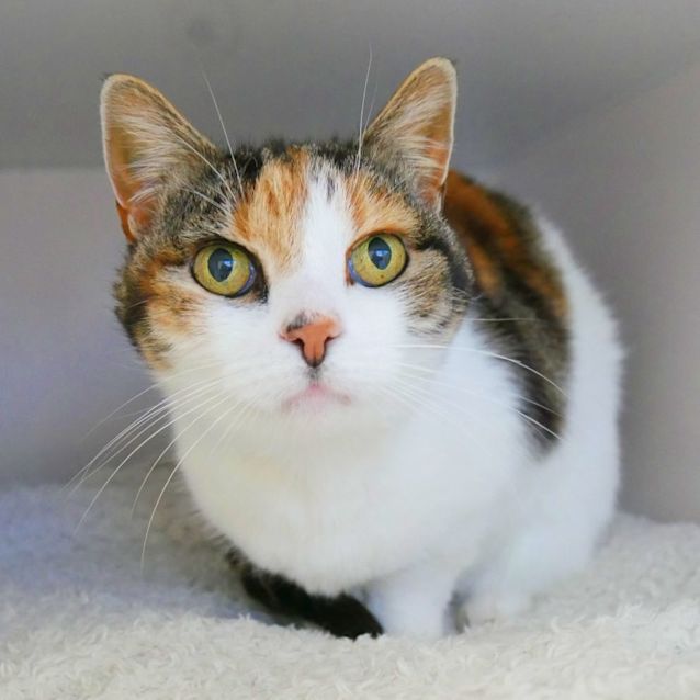 Photo of Bella Sua009731