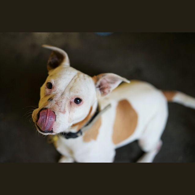 Photo of Mimmco