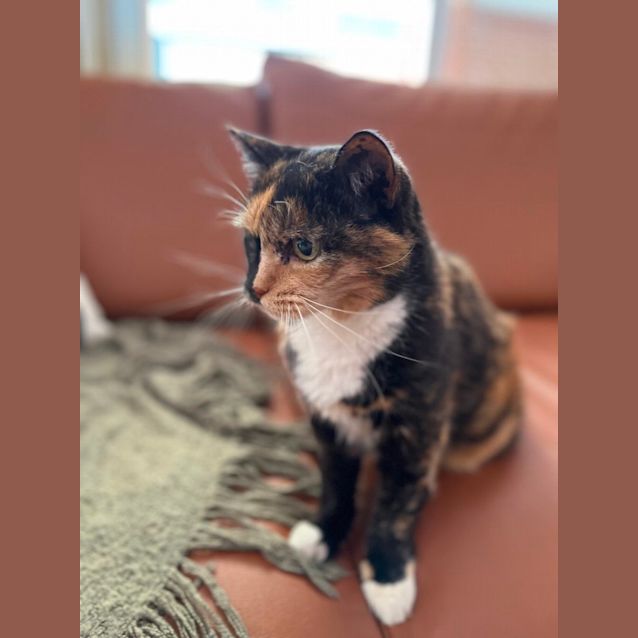 Photo of Athena