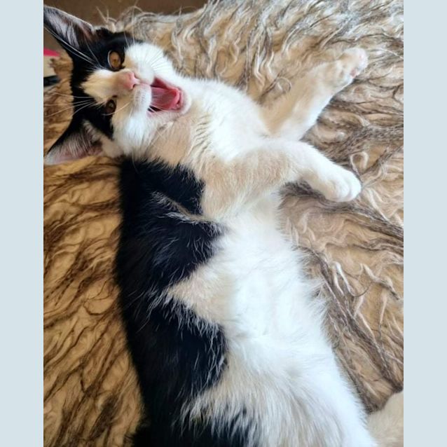 Photo of Lillian (Lily)