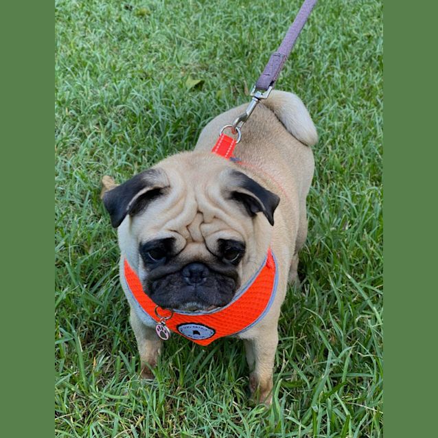 Photo of Jack And Wanda